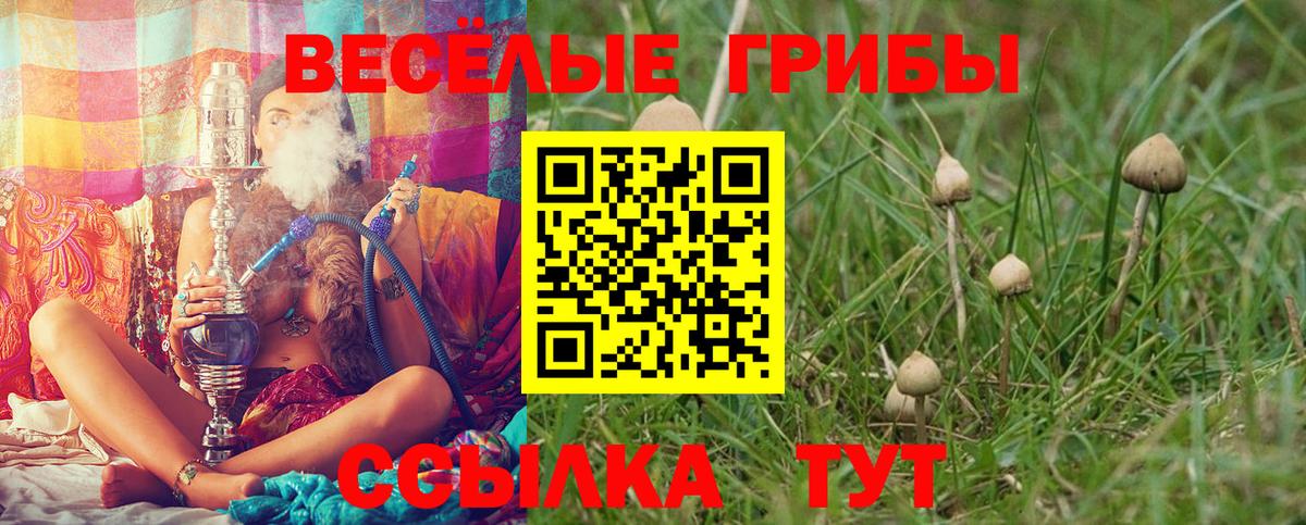 Котельники  Галлюциногенные грибы MAGIC MUSHROOMS  Вход с VPN 